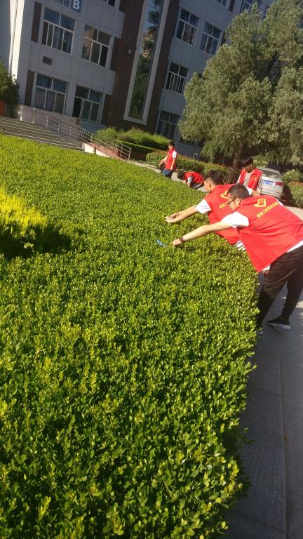 志愿者劳动现场